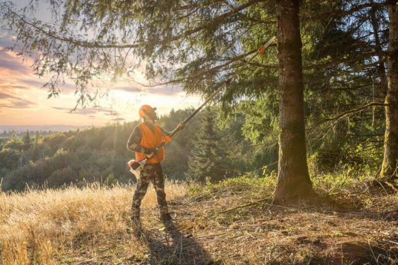 MOTOPODA STIHL HT 135 30CM - Imagem 7