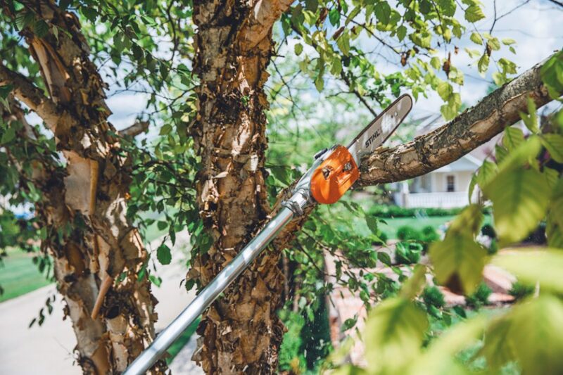 MOTOPODA STIHL HT 135 30CM - Imagem 4