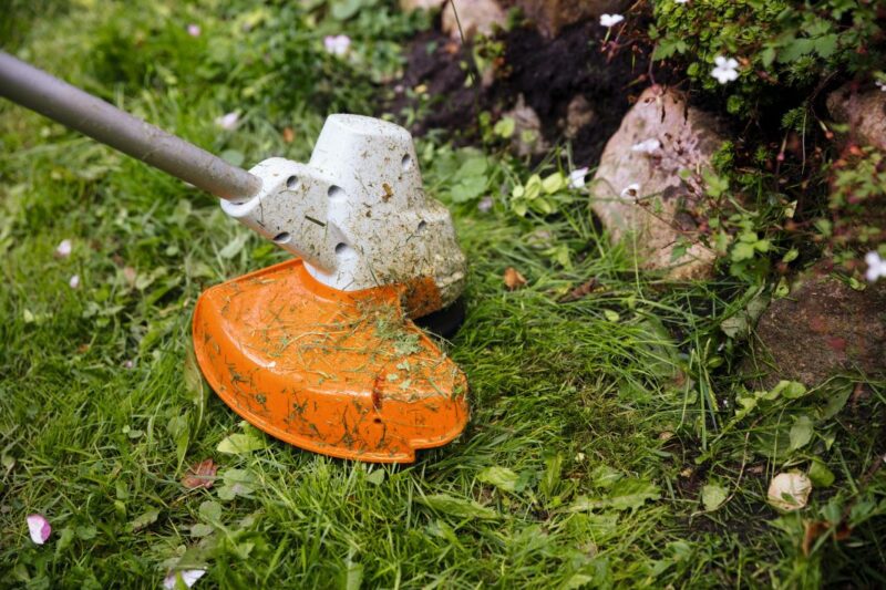 ROCADEIRA STIHL FSA 56 127V + 1BAT + 1CARREG. - Imagem 2
